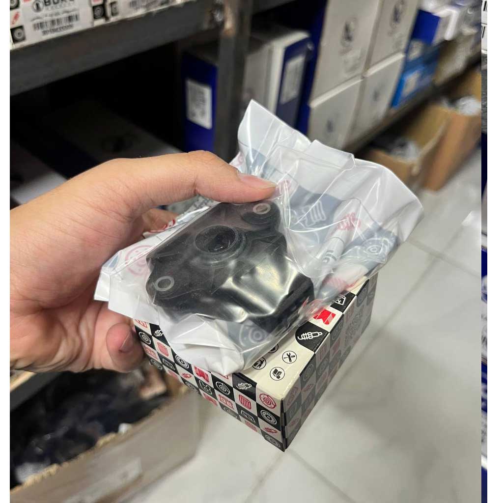 پتانسیومتر تیبا و ریو راین گستر