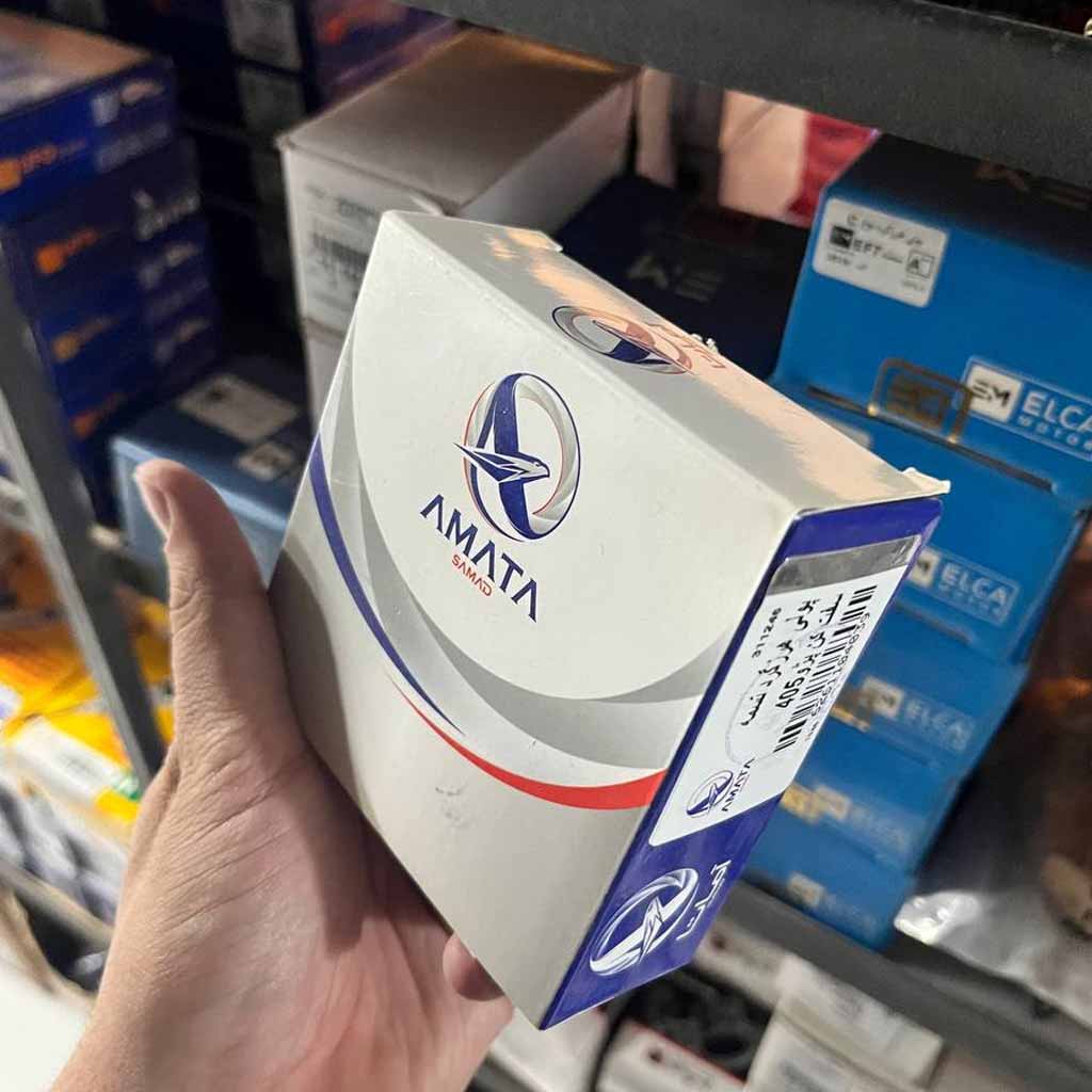 پولی هرزگرد دینام پژو ۴۰۵