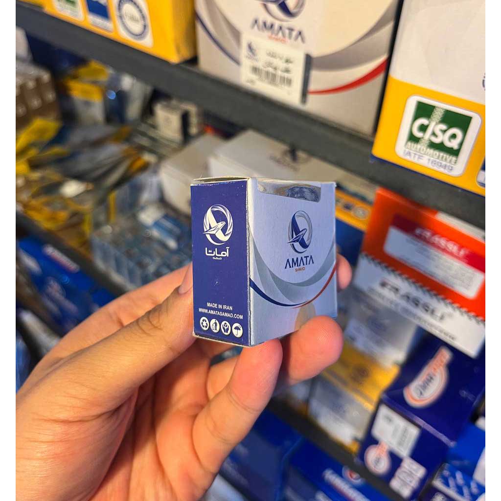 فشنگی آب پژو ۴۰۵تک فیش آبی