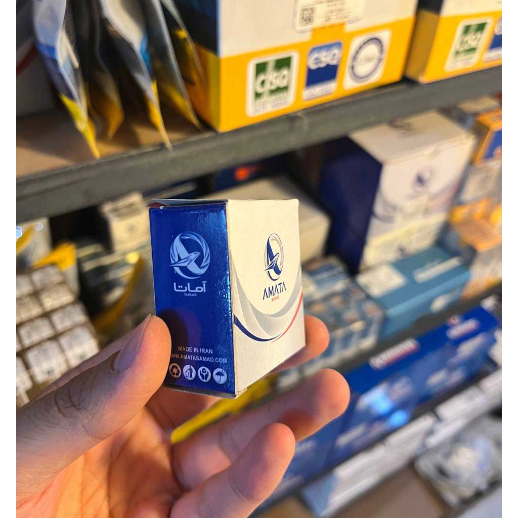 کلید لای درب تیبا جلو