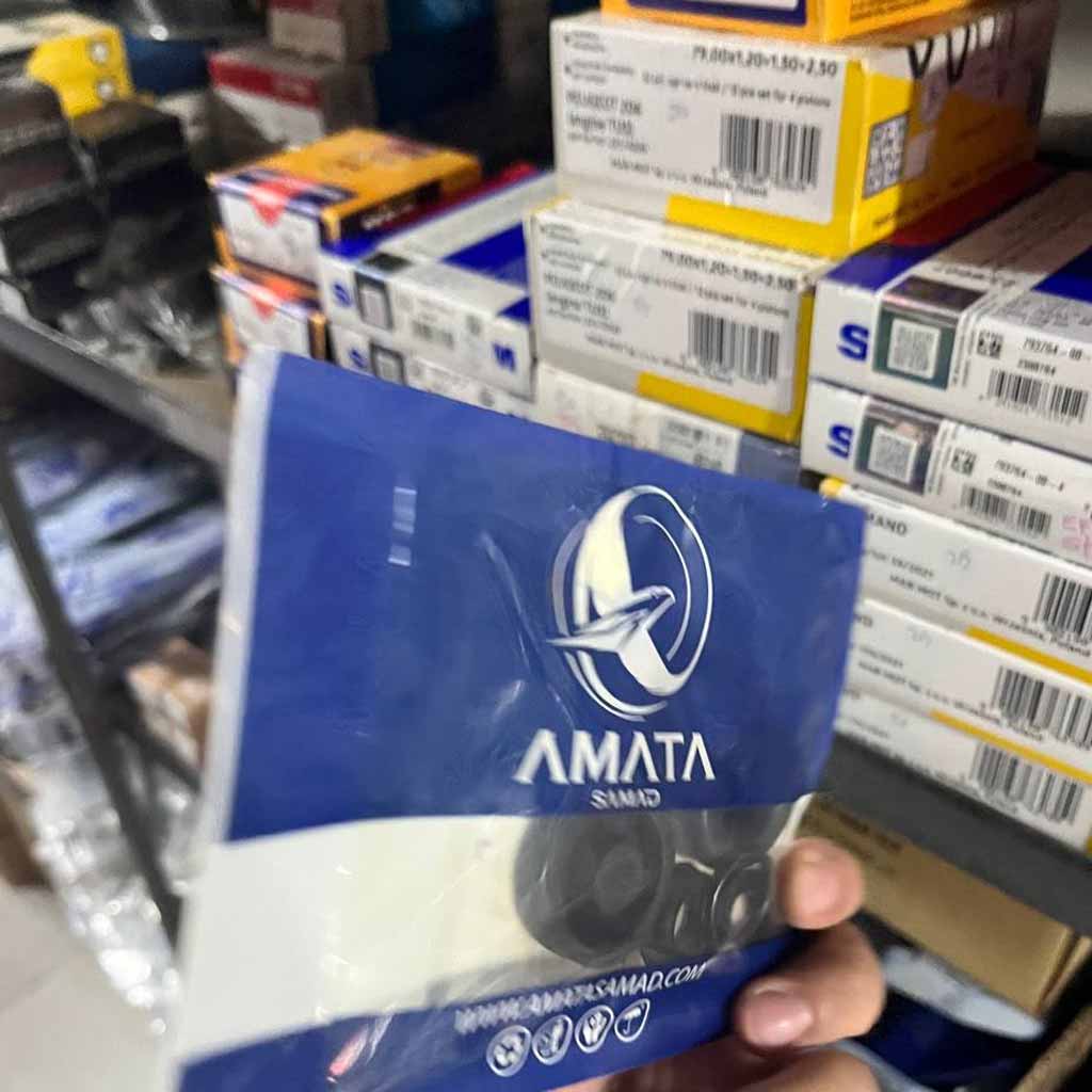 لوازم ترمز چرخ عقب پژو ۴۰۵